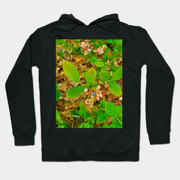 Wild Blueberries Hoodie by etherealwonders